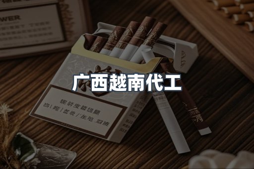 广西越南代工